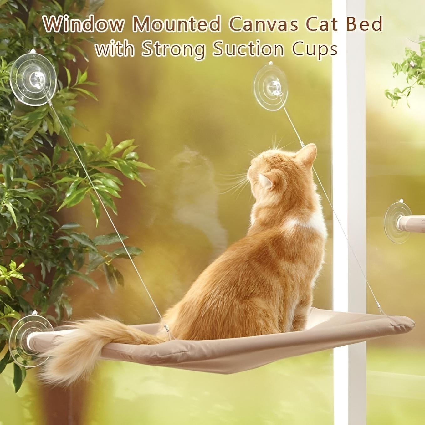 Cat Window Bed