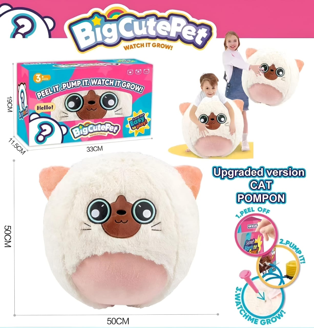 Cat Big Cute Pet