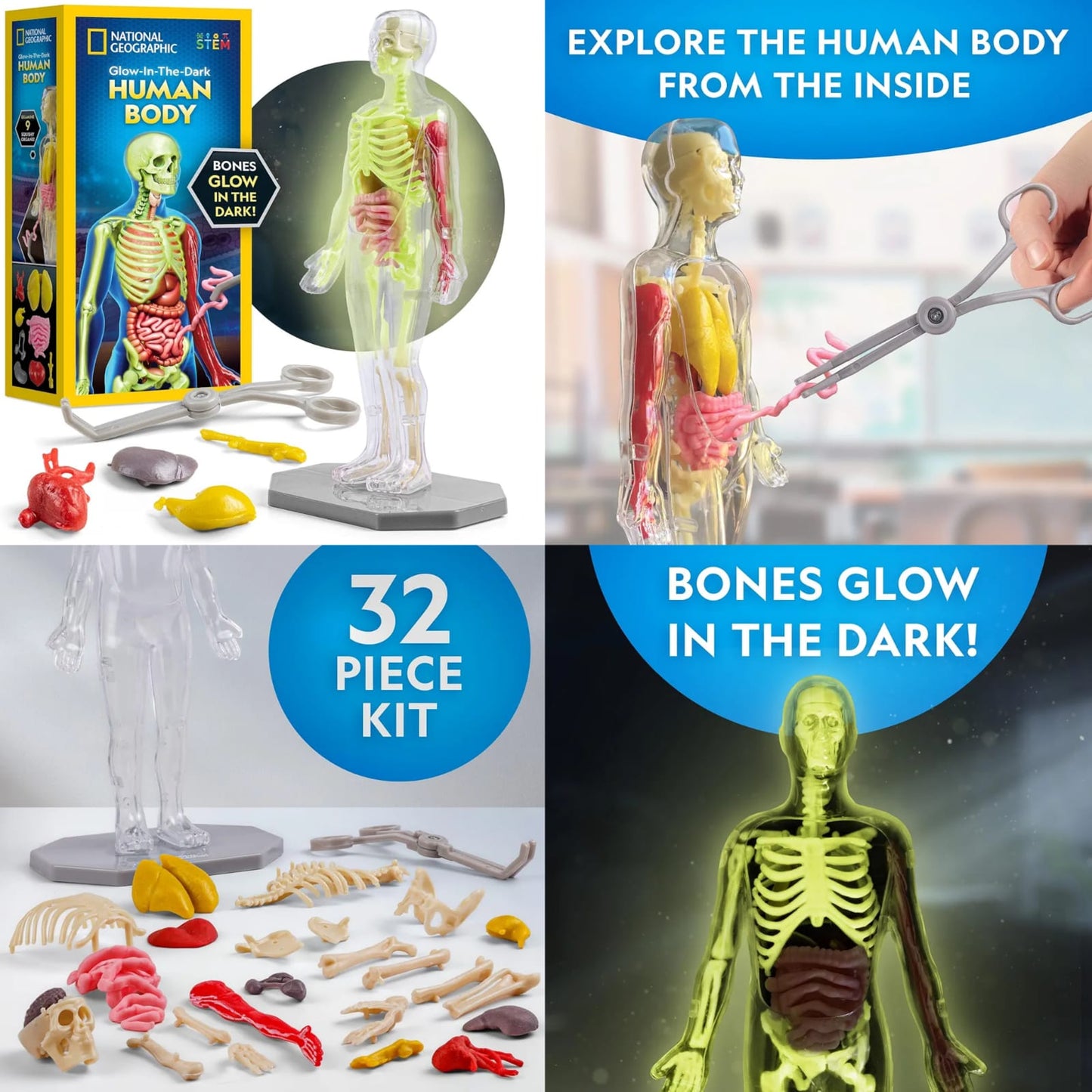 Human Body Kit